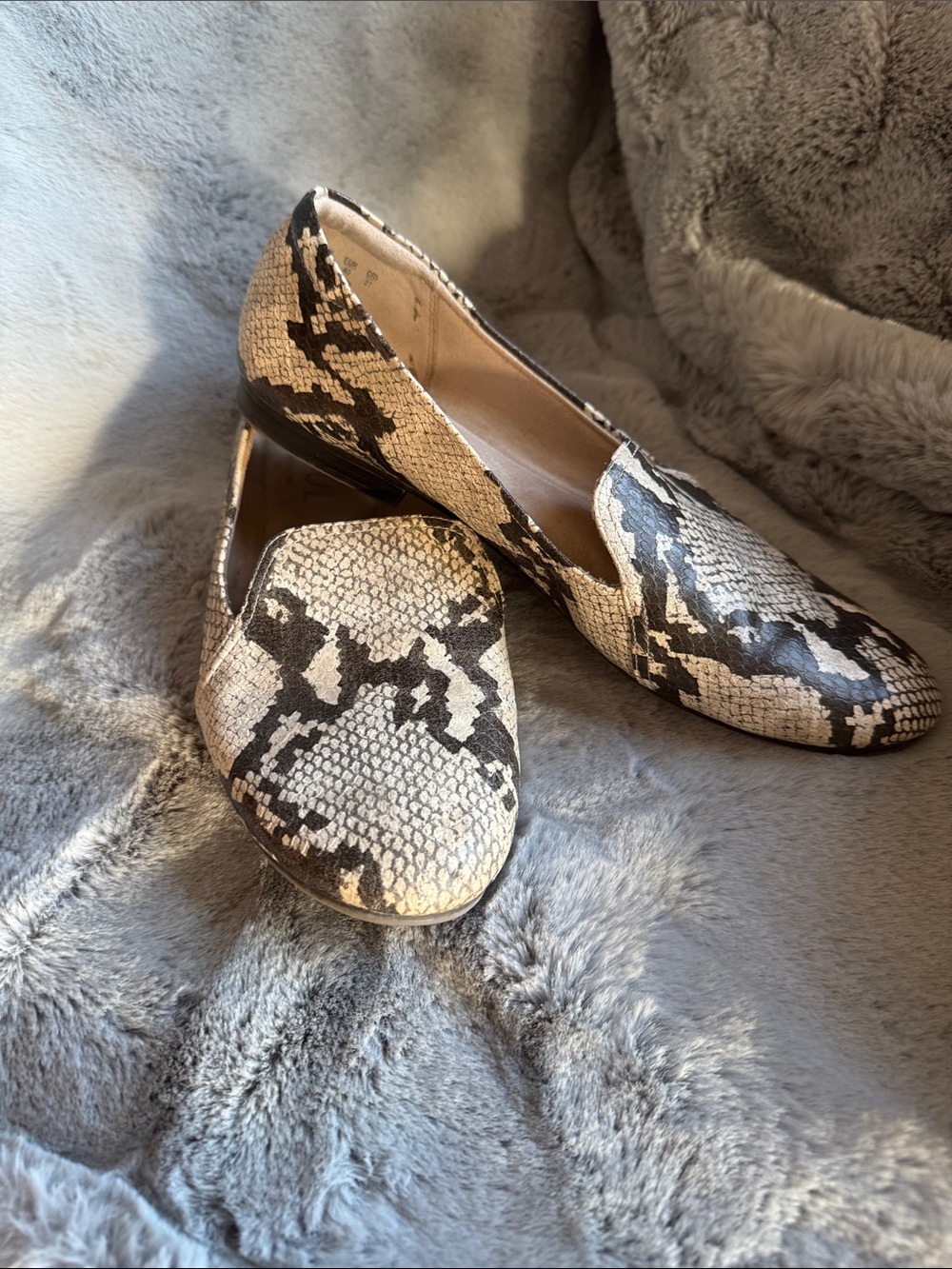 SOUL Naturalizer Snake-Print Loafers in Beige and Black